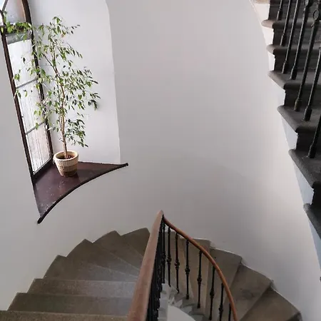 Apartment Am Neuen Dom *